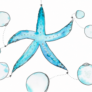 Seestern*Event, 29.11.26, 14.00-19.00 Uhr